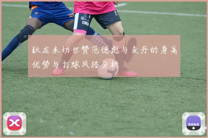 狄龙米切尔赞范德彪与麦丹的身高优势与打球风格分析